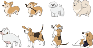 Dog breeds by photo tool showing accurate results for a mixed puppy